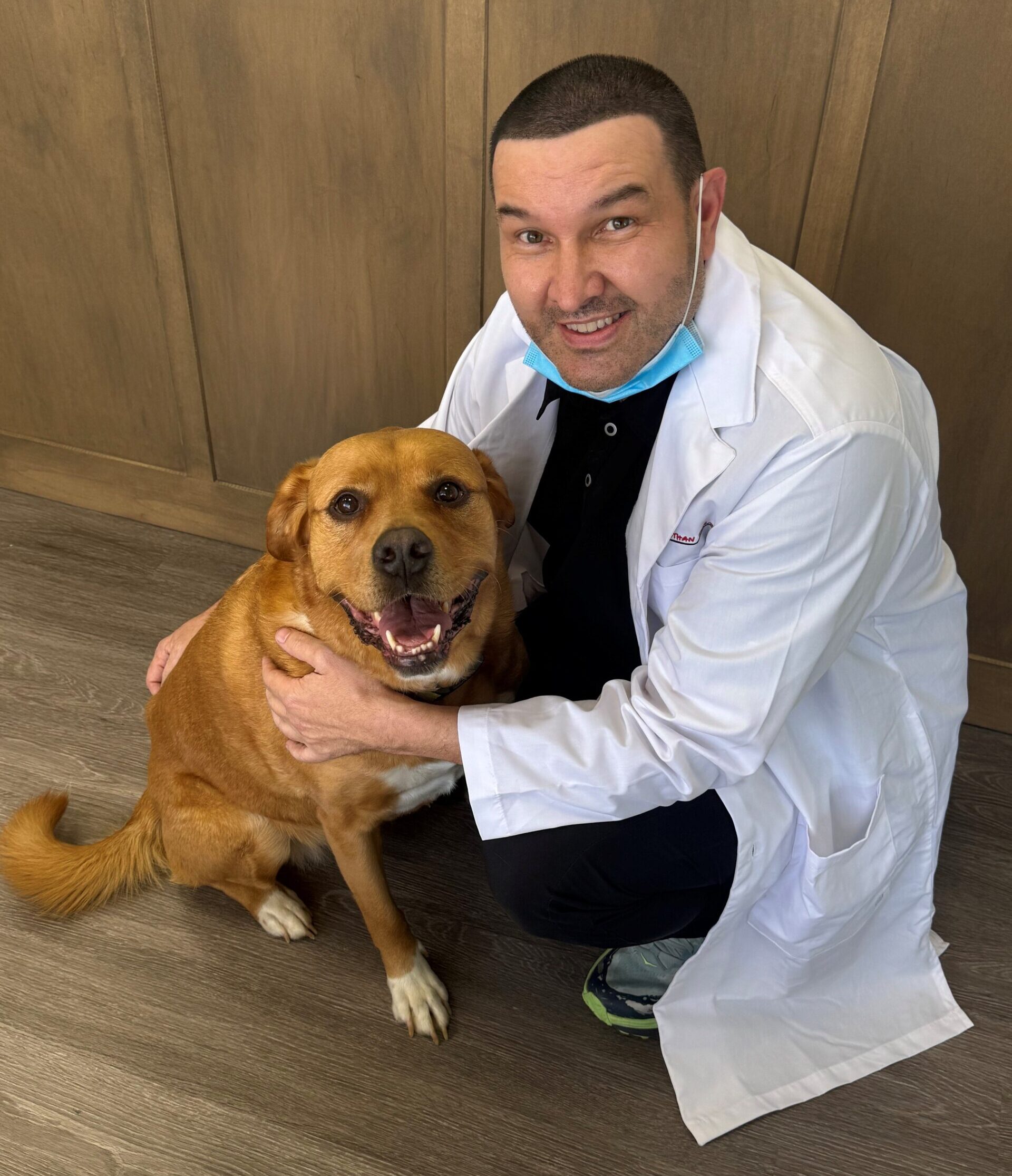 Jake-Smiths-Grove-Office-Dog Jake-Smiths-Grove-Office-Dog